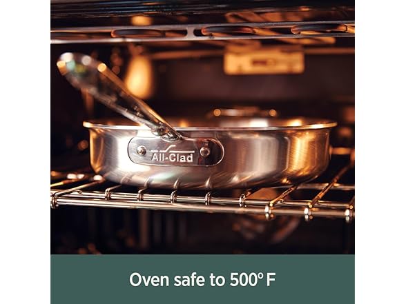 All-Clad D5 8" Stainless Steel Fry Pan