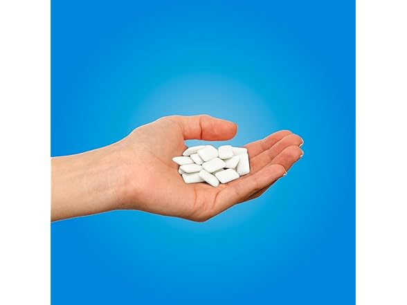 PUR Peppermint Gum 55ct