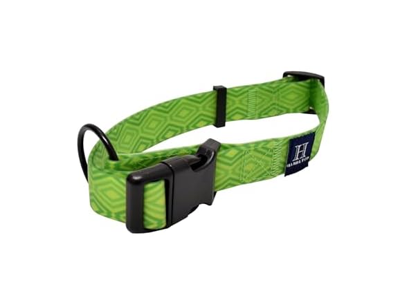 Hamilton Adjustable Waterproof Dog Collar, Lime Green Md/Lg