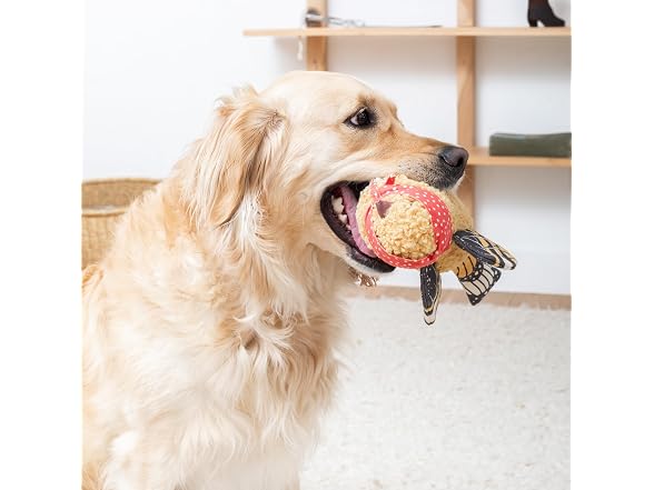 Fringe Studio MS Birdie Mixed Material Dog Toy