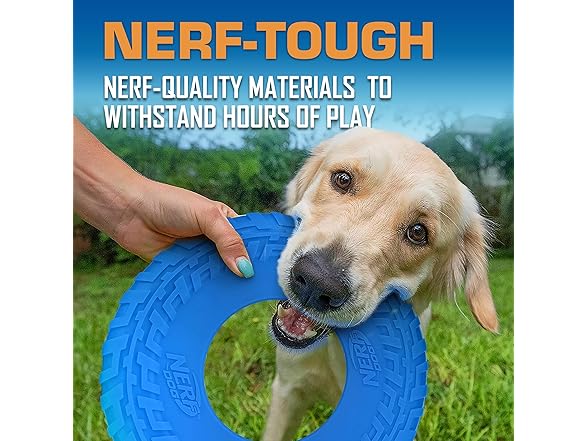 Nerf Dog Tire Flyer Outdoor Dog Toy