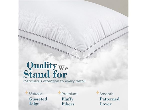 viewstar Bed Pillows Set of 2