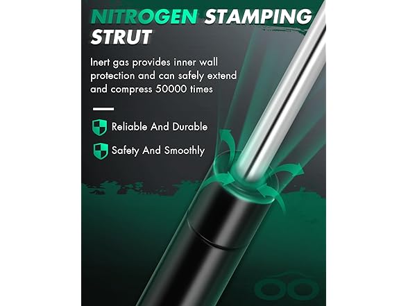 Rear Liftgate Struts Ford Escape