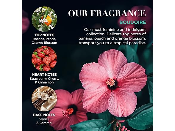 Baylis & Harding Tropical Hand Care Set