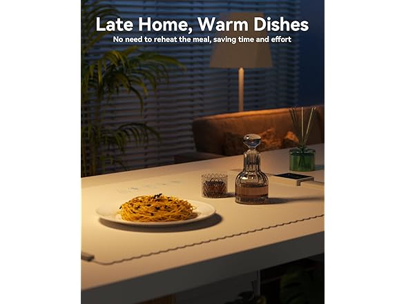 (2 Pack) Food Warmer Mat