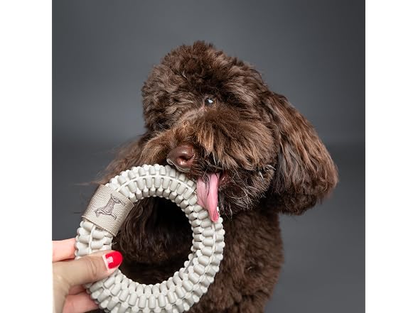 NOAH & PAW Luxury Dog Toy, TPU- Ring, Beige