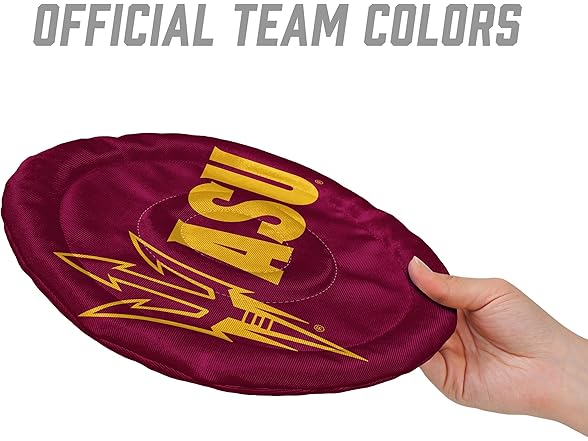 YouTheFan NCAA Bean-Bag Flying Disc
