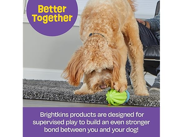 Brightkins Cactus Surprise Treat Dispenser