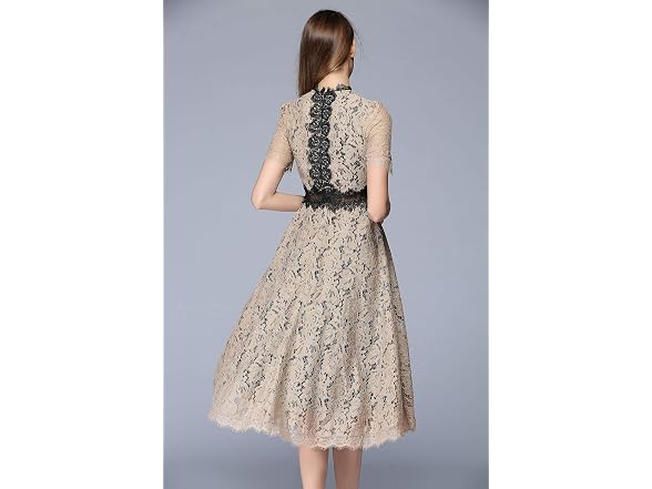 LAI Meng Five Cats Women (10) Elegant Lace Dress