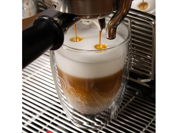 Coffeeness Double Wall Coffee Cups