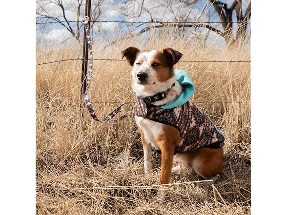 Hooey Legendary Dog Hoody Navajo Print M