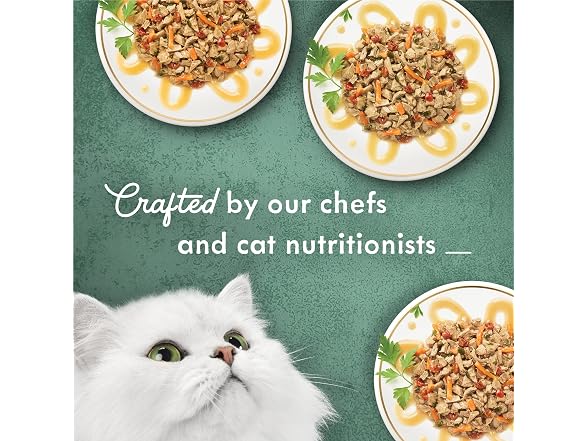 2PK Purina Fancy Feast Wet Cat Food Variety