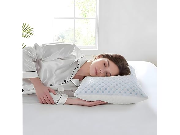 SKYCARE Zenith Standard Memory Foam Pillow