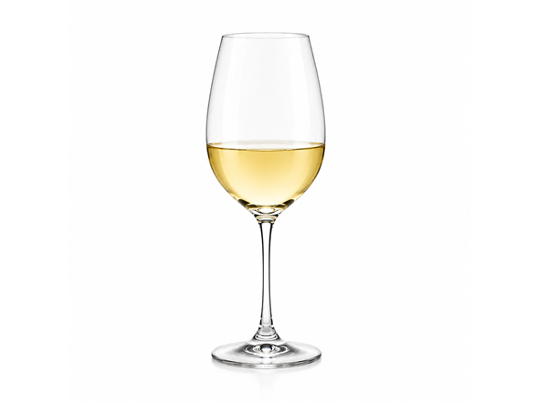 Williams Sonoma Glassware Set (White Wine)