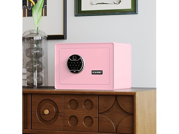 GOLDENKEY Fingerprint Safe