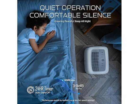 Wellsle Wellsle Energy Star Certified 52 Pint De