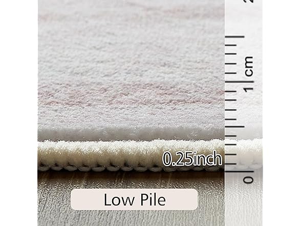 5x7 ft Area Rug Pink