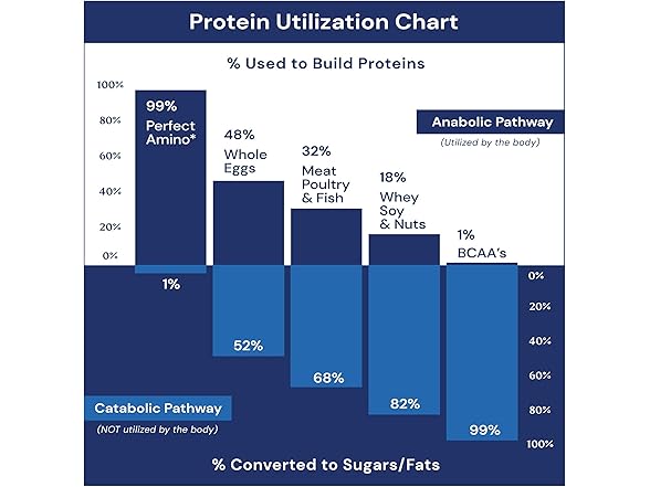BodyHealth BodyHealth PerfectAmino Powder - BCAA an