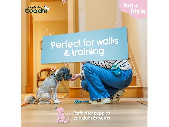 Company of Animals Coachi Puppy & Mini Treat Pouch