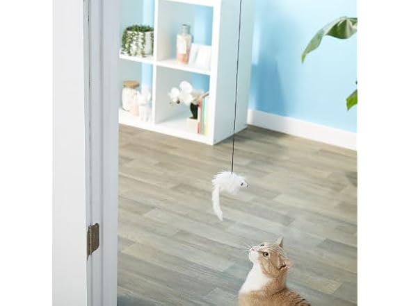SPOT A-Door-Able Bouncing Mouse Rattle Toy