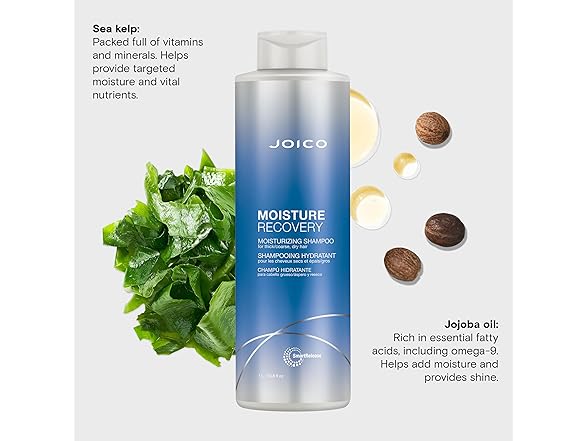Joico Moisture Recovery Shampoo (2Pk)