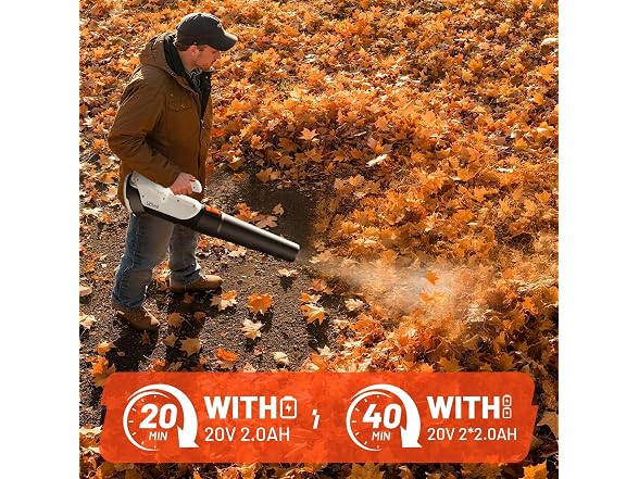 Litheli Cordless Leaf Blower with 2 Batteries