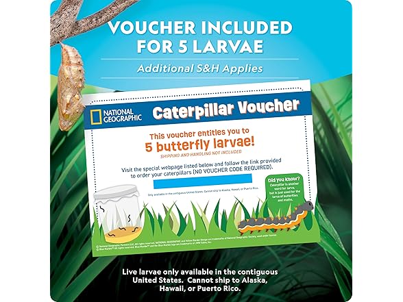 National Geographic Butterfly Growing Kit
