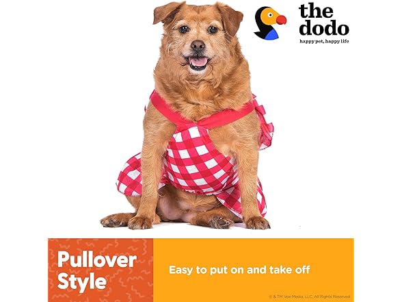 The Dodo Red Plaid Dress for Dogs