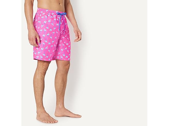 Amazon Essentials Men 9" Quick-Dry Swim Trunk