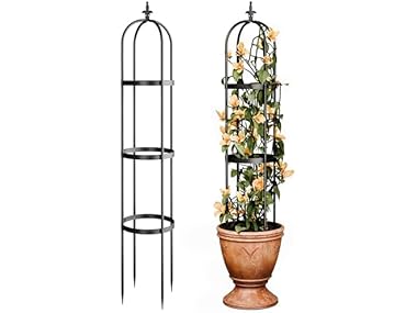 $19.99, Was $49.99, 60% Off! Idzo Trellis for Climbing Plants dealfomo