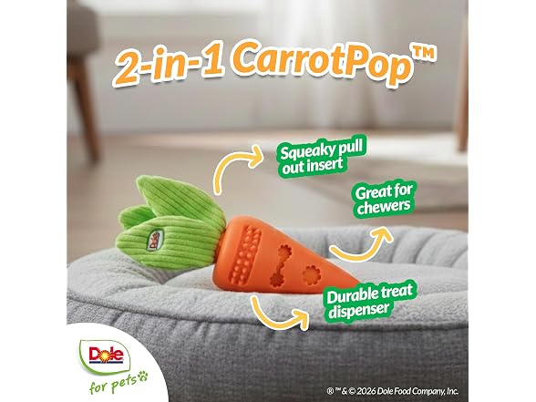 Dole for Pets Dole for Pets Dog Puzzle Toy with