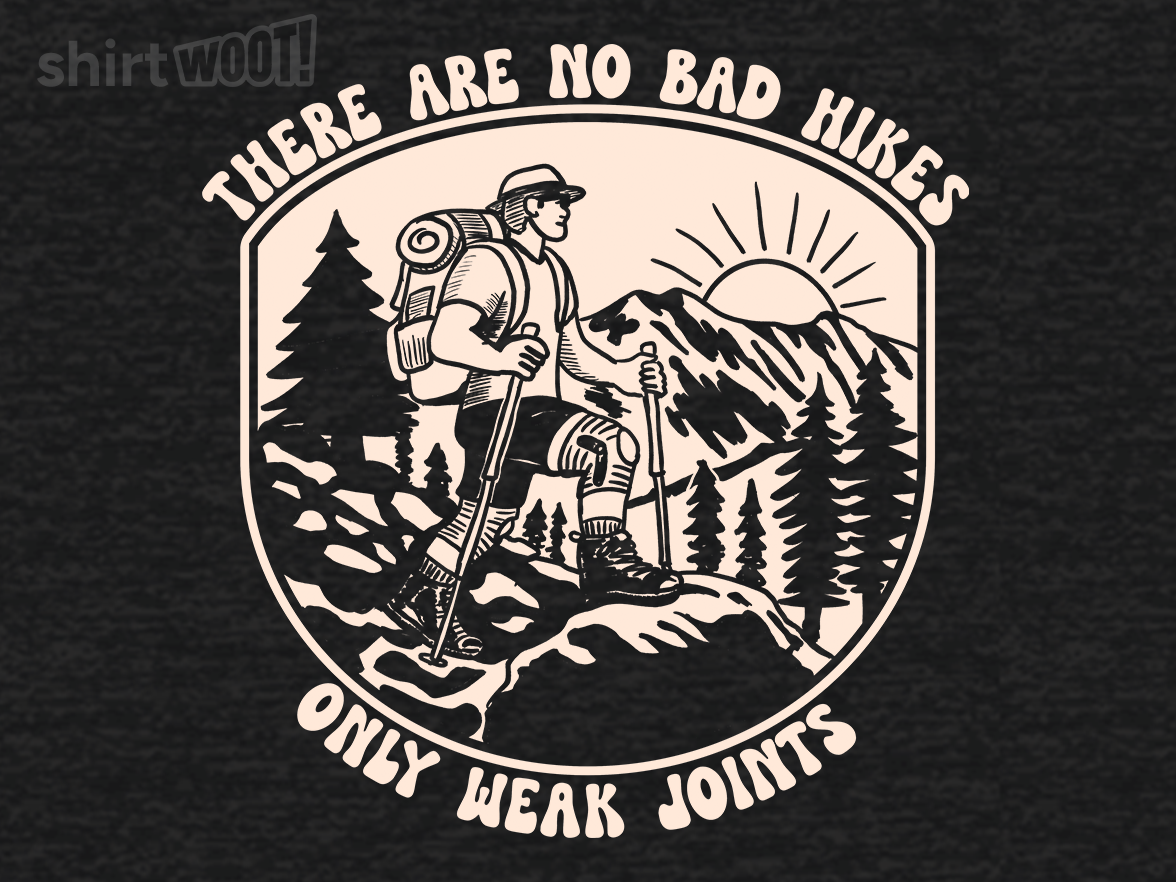 No Bad Hikes, Just Weak Joints - Gallery 9