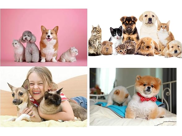 Furgopet Deshedder for Dogs & Cats