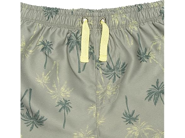 Gerber Boys Swim Trunks (6-9M)
