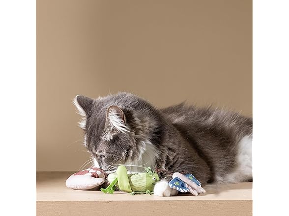 Fringe Studio Catch ME IF You CAN Cat Toy