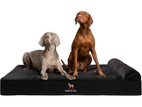 NOAH & PAW Orthopedic Dog Beds- XXLarge