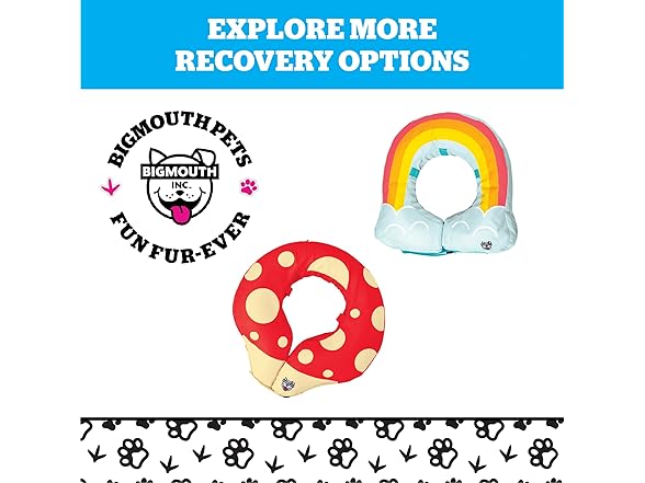 Frog Inflatable Recovery Collar, Comfortable Cone