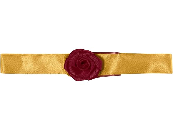 Disney Princesses: Belle Pet Costume for Dog, Small