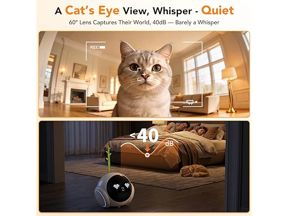 Pet Camera
