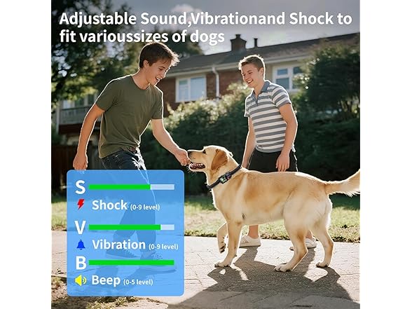 Sglyq Wireless Dog Fence System