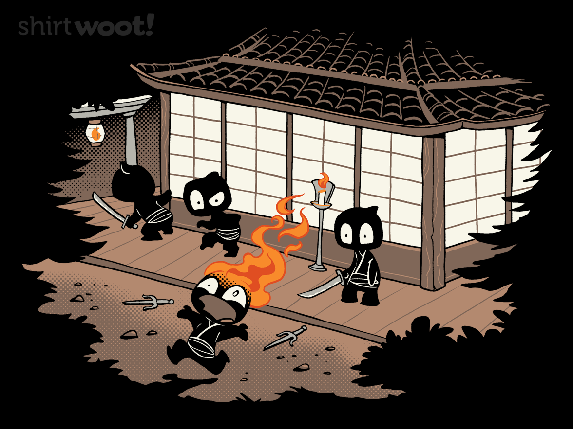 Unstealthiest Ninja - Gallery 4