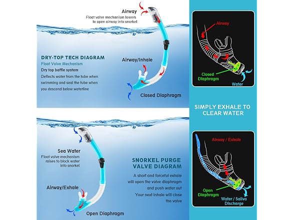 ZEEPORTE Mask Fin Snorkel Set