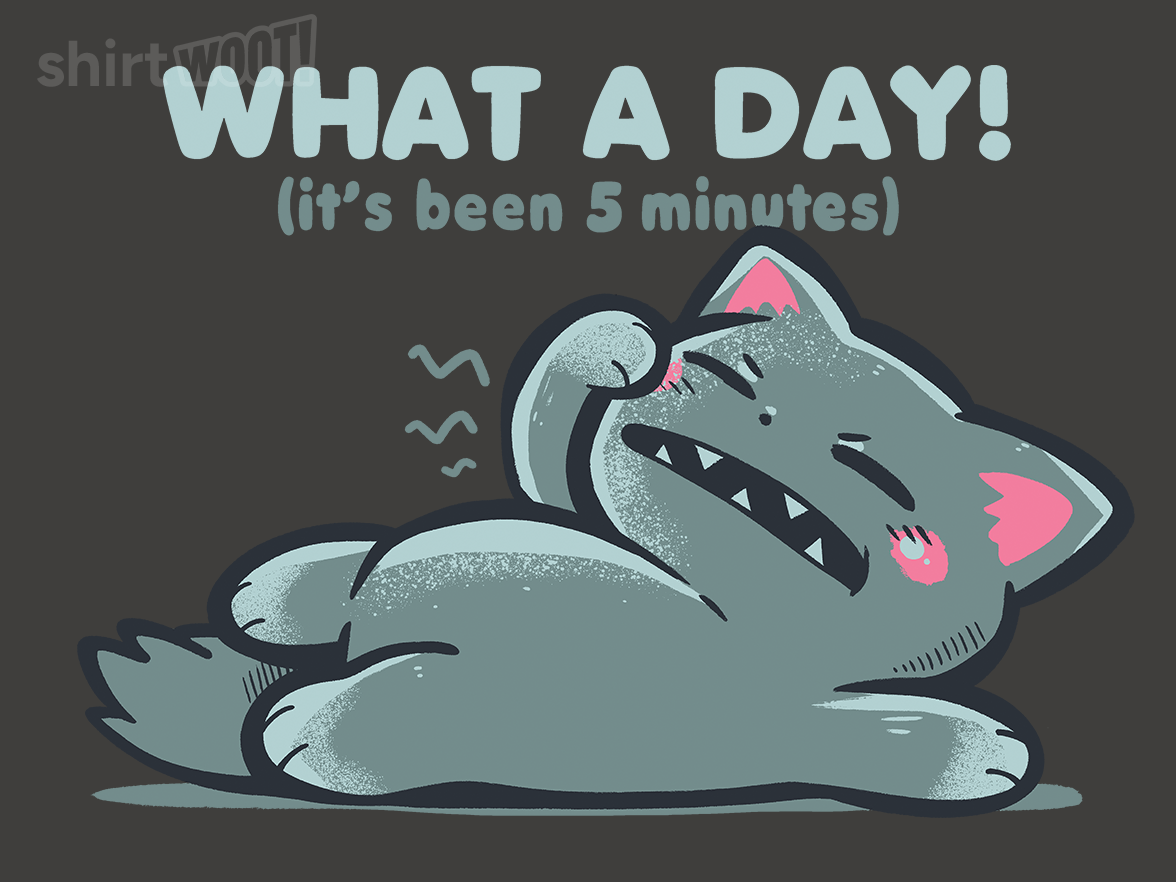 What a Day - Gallery 4