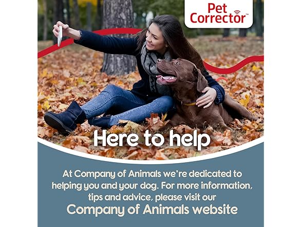 PET CORRECTOR Dog Trainer