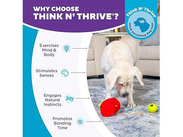 Outward Hound by Nina Ottosson Fruity Findz