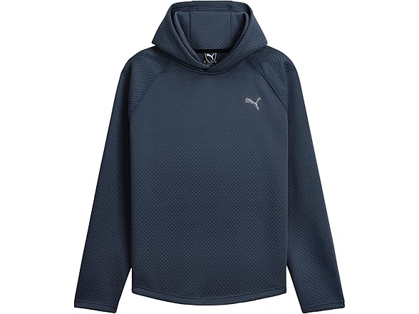 PUMA Men's Standard Pebble Hoodie, Medium