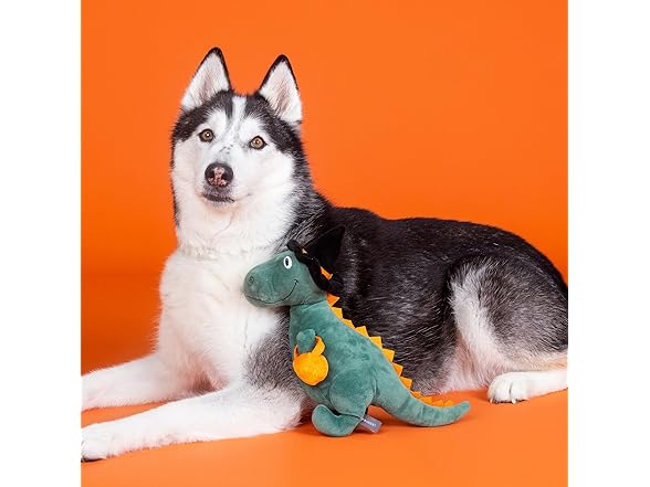 Fringe Studio Plush Dog Toy, Candy REX