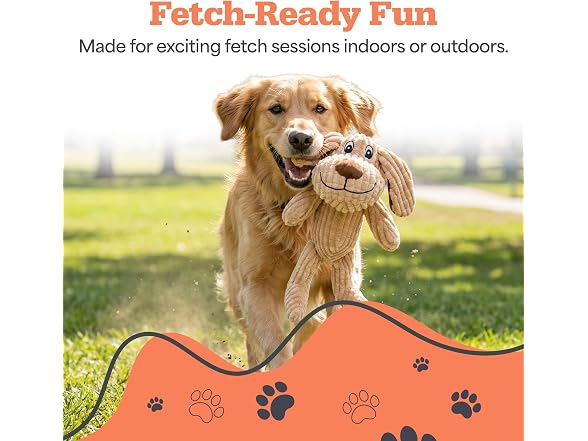 Bow Wow Pet 2 Pack Plush Dog Toy, Pixel Pup