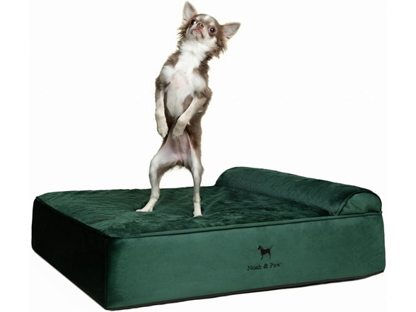 NOAH & PAW Orthopedic Dog Beds- Medium