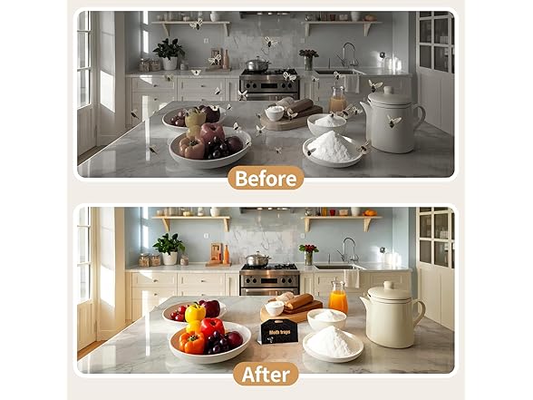 PIMAG Upgraded Moth Traps - Gallery 5